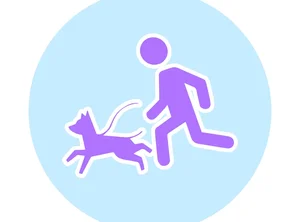 Спорт с собакой