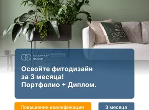 Фитодизайн