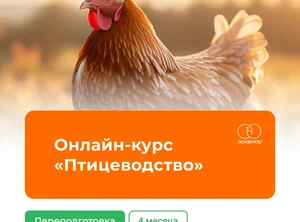 Онлайн-курс Птицеводство