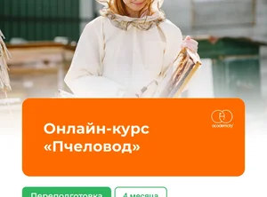 Онлайн-курс Пчеловод. 4 месяца