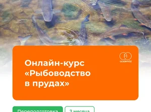 Онлайн-курс Рыбоводство в прудах