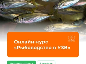 Онлайн-курс Рыбоводство в УЗВ