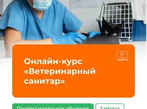 Онлайн-курс Ветеринарный санитар