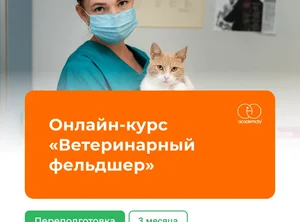 Онлайн-курс Ветеринарный фельдшер