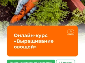 Онлайн-курс Выращивание овощей