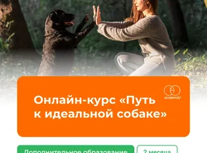 Онлайн-курс Путь к идеальной собаке