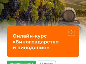 Онлайн-курс Виноградарство и виноделие (340 часов)