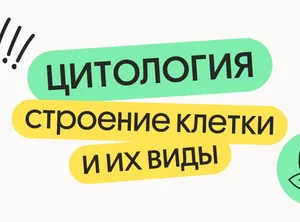 Цитология. Строение клетки и их виды