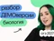 Разбор ДЕМОверсии ОГЭ 2027 по биологии