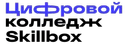 Skillbox СПО